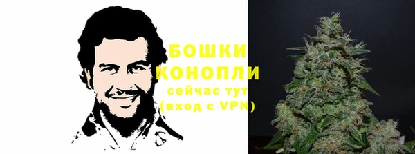 индика Россошь