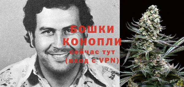 PSILOCYBIN Ростов
