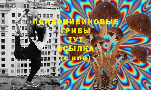 хмурый Белоозёрский