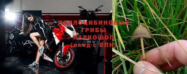 молекула духа Беломорск