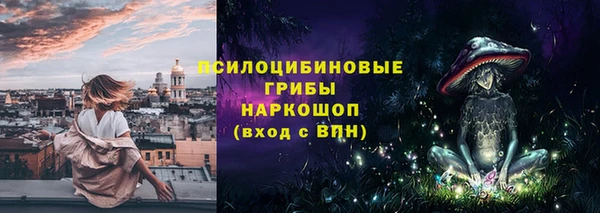 кокаин Белокуриха